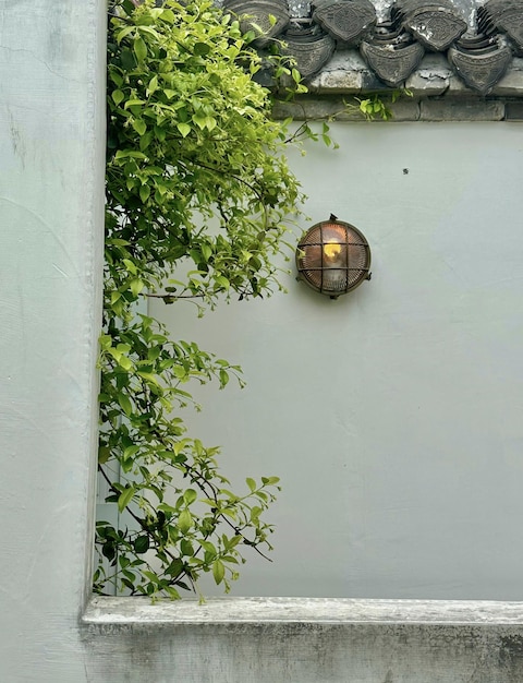 A wall with a lantern and a plant on it.