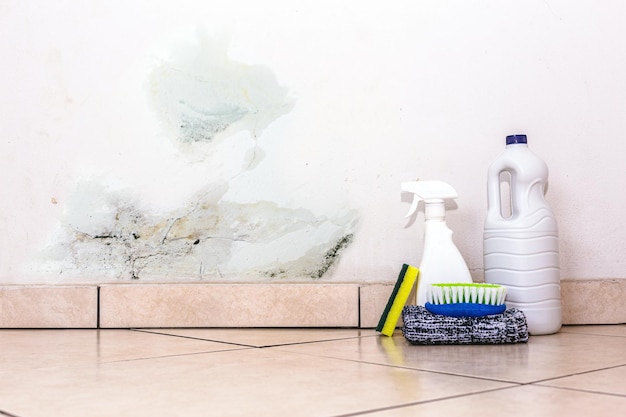 Wall with mold problem and water infiltration, with bucket, squirt, sponge and brush for cleaning next to it.