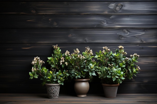 A wall with potted plants and flowers on it