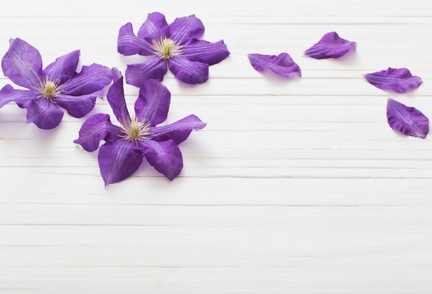 wall with purple clematis