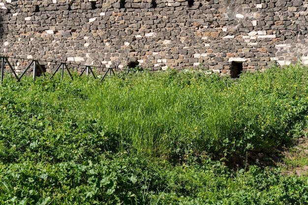 A wall with a stone building behind it