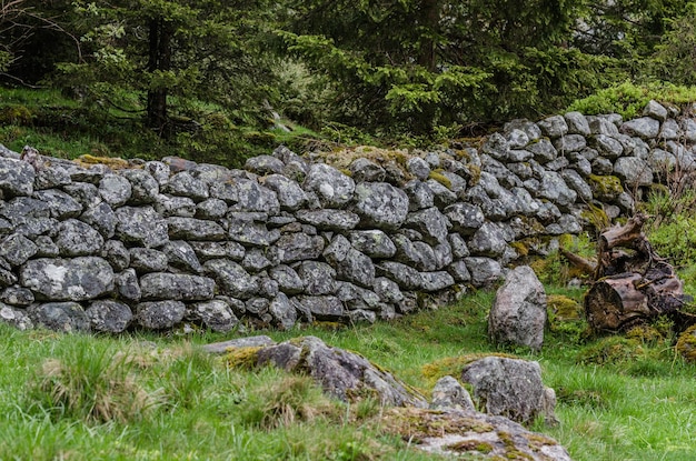 Wall with stones