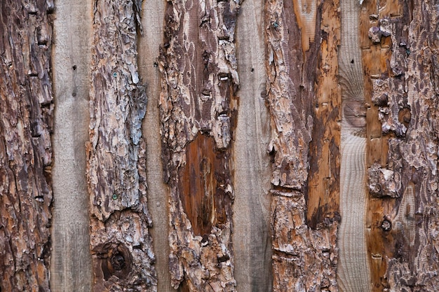 Wall with textured boards with bark