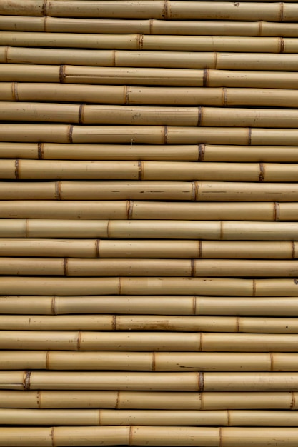 Wallcovering texture with new bamboos