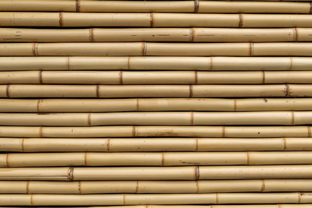新しい竹を使った壁紙のテクスチャ