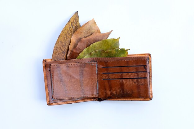 Wallet with dry leaves