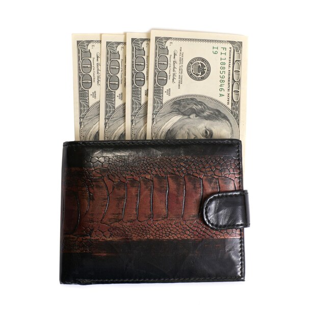 Wallet with money dollars isolated