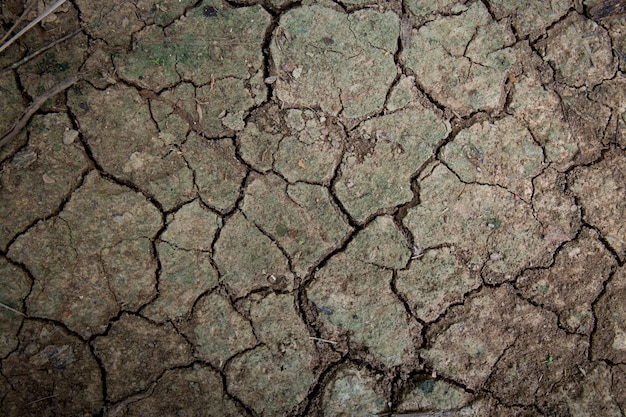 Photo wallpaper, cracked soil