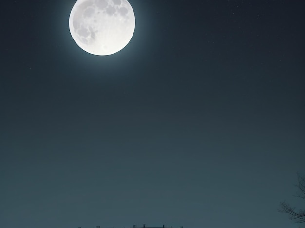 Wallpaper Full Moon in a Dark Sky FullScreen Display