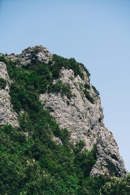 Foto sfondo. paesaggio di montagna sotto il cielo limpido