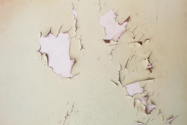 Photo the walls of the house were badly damaged with peeling paint paint spots are gone