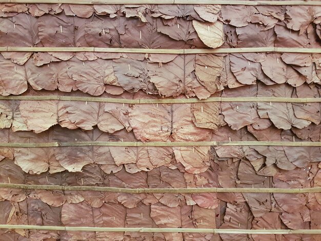 Walls made of teak leaves