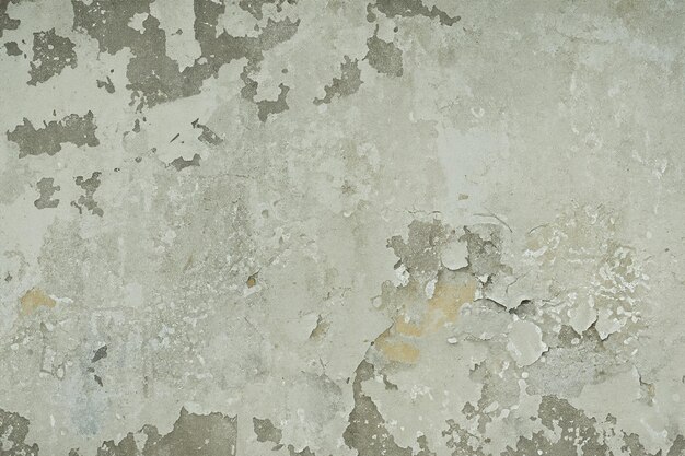 Photo walls peeling background