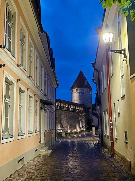 エストニアの夜のタリンの壁と塔