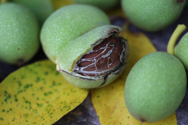 Walnoten geplukt uit een boom in een groene schelp