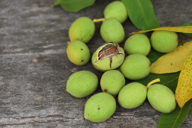 Walnoten geplukt uit een boom in een groene schelp