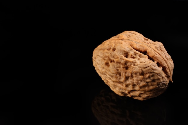 Walnut on a dark