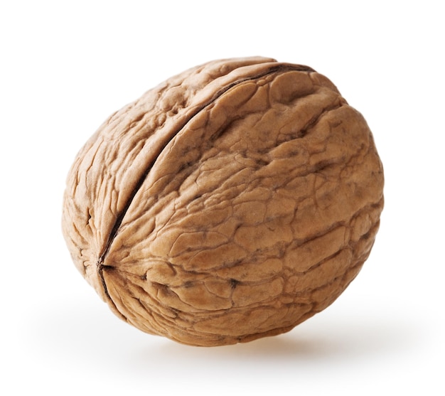 Walnut isolated on white background with clipping path