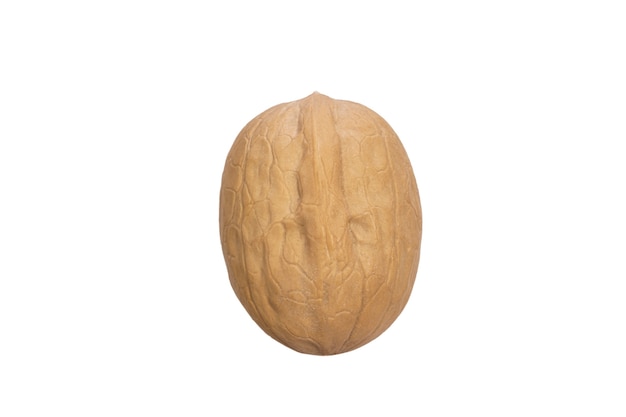 Walnut in shell isolated on white background. High quality photo