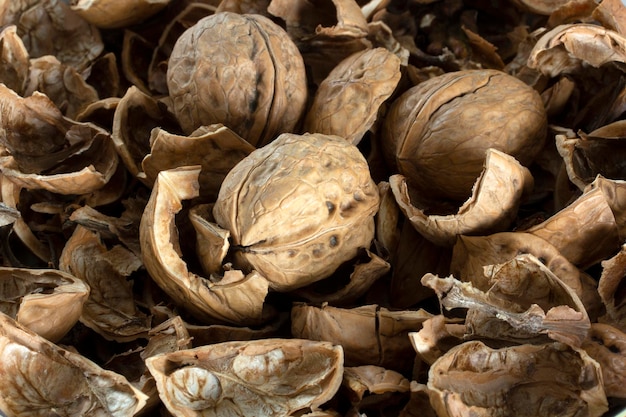 Walnut shell and walnut texture background