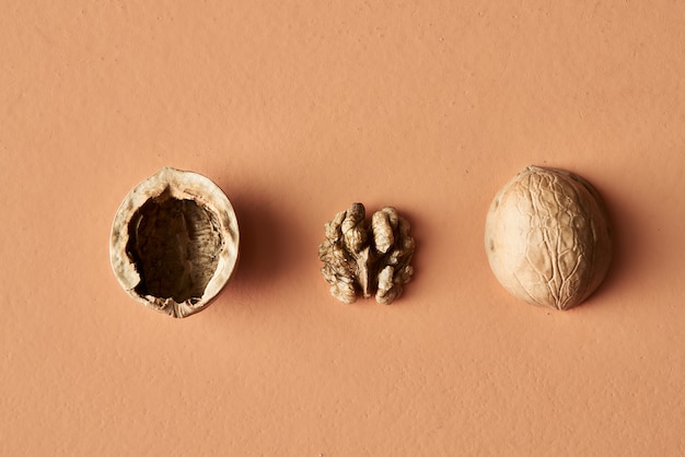 Photo walnut shell and walnuts