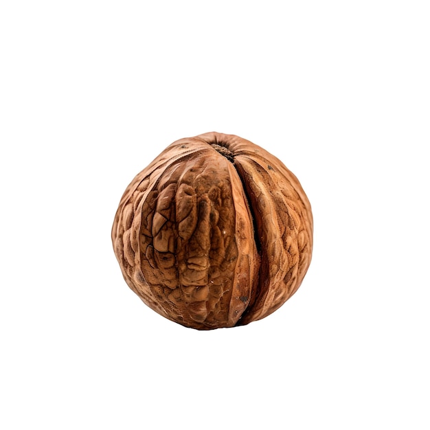 A walnut in a walnut shell against a white background.