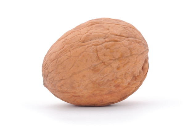 Walnut on a white