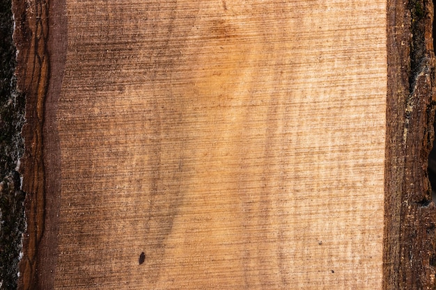 Walnut wood texture