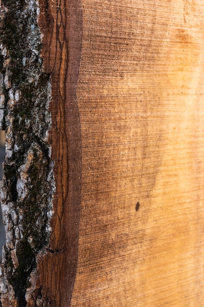 Walnut wood texture