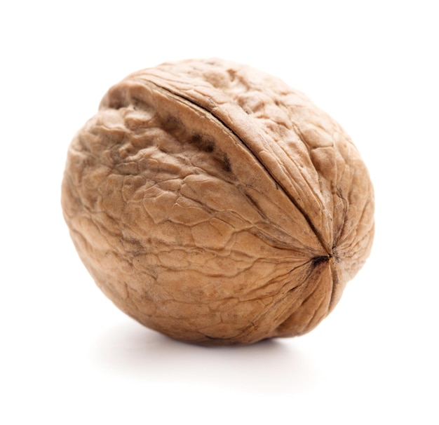 walnut