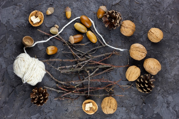 Walnuts, acorns on beautiful background, winter concept. Winter flatfly