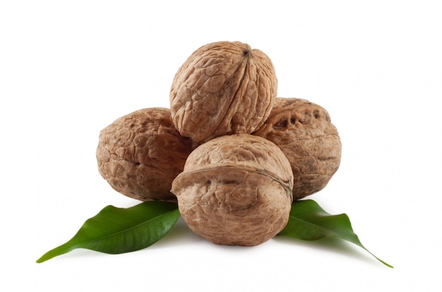 Walnuts are a bunch of illuminated from behind