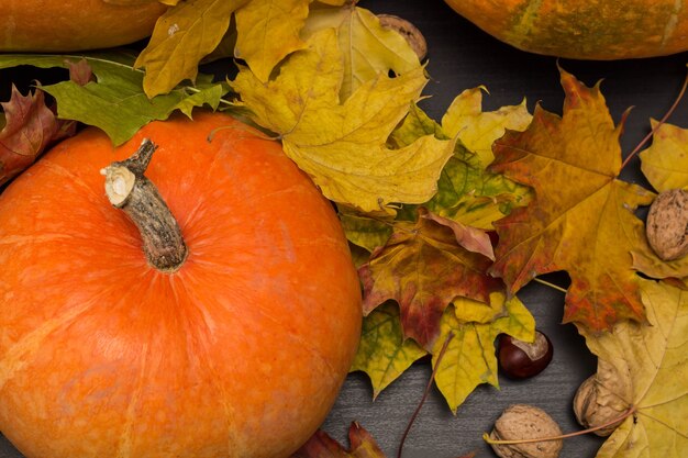 walnuts and autumn leaves