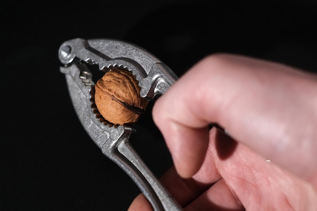 Walnuts in black key Nuts on a dark background