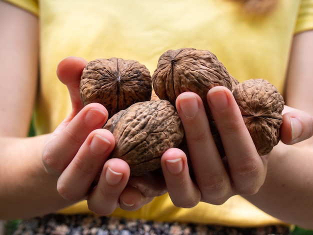 Walnuts in hands close-up.