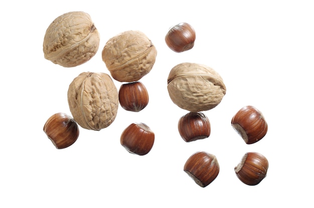 Walnuts and Hazelnuts