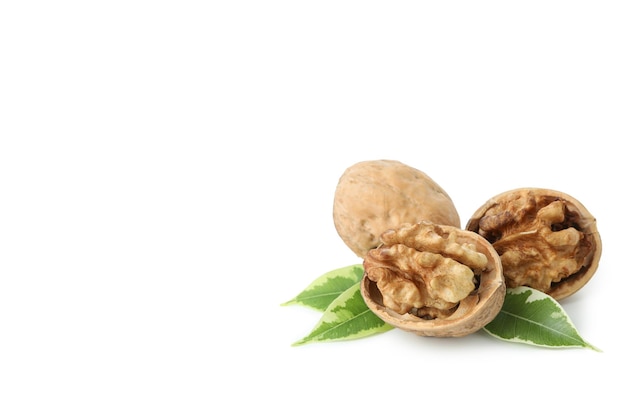 Walnuts isolated on white background, close up