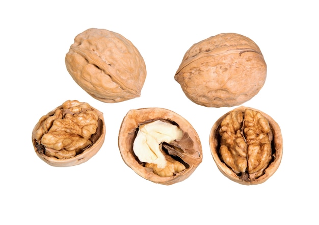 Walnuts isolated on white surface.  Macro of nuts. Nuts and seeds of the common walnut.