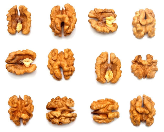 Walnuts kernels collection isolated on white background Flat lay top view