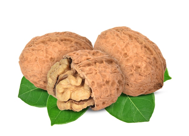 Walnuts kernels on white background