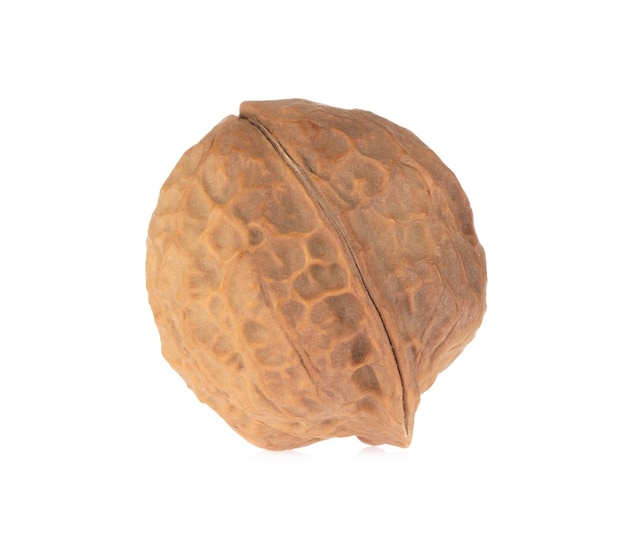 Walnuts in shell isolated on white background