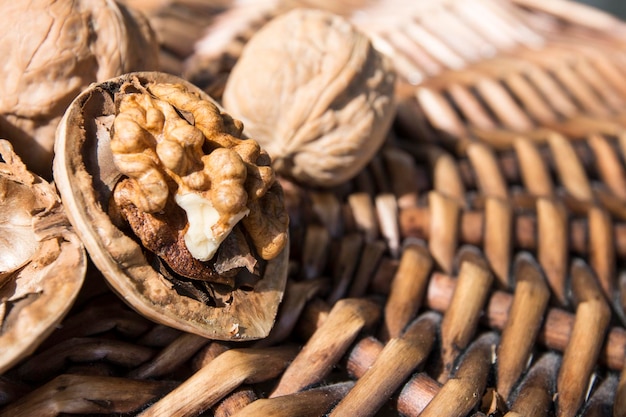 Walnuts and walnuts closeup