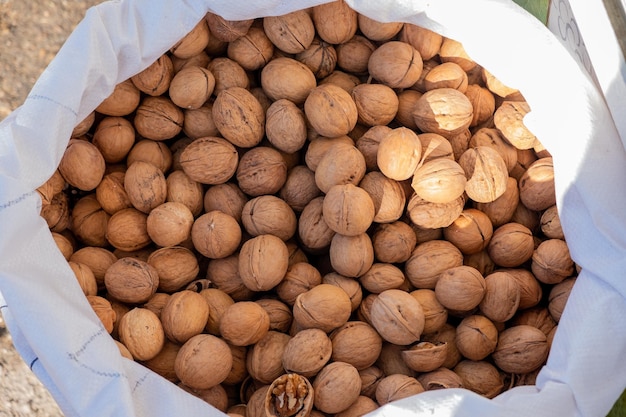 Walnuts in a white bag top view.