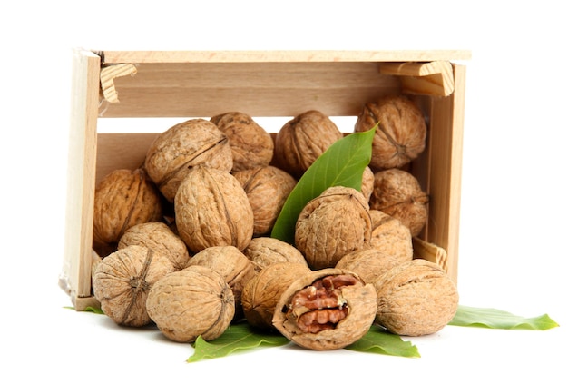 Walnuts with green leaves in woooden crate isolated on white