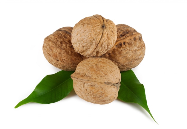 Walnuts with green leaves