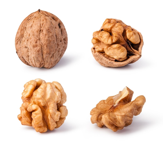 Photo walnuts