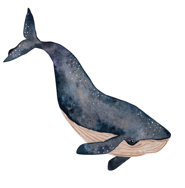Walvis waterverf illustratie geïsoleerd op witte achtergrond