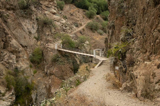 Wandel door de Colca Canyon en volg de route van Cabanaconde naar de Oasis