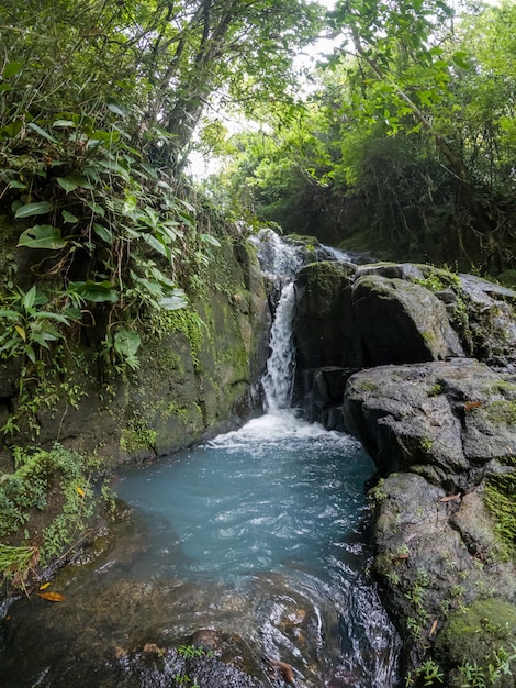 Wandel door kristalheldere hemelwatervallen in Panama