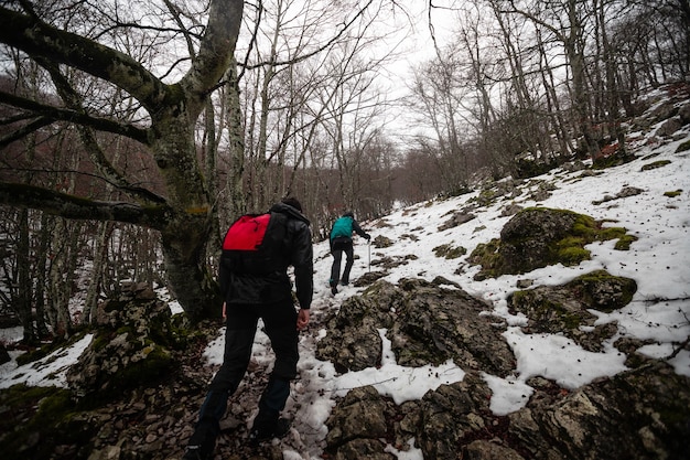 Wandelaar die door een winterlandschap loopt